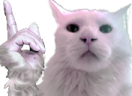 hesPP emote
