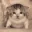 catEXPLODE