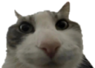 yuh emote