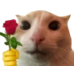 catRose emote