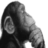 ChimpThink emote