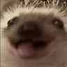 aga emote