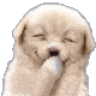 doggiggle emote