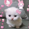 gaypert emote