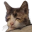 Fuckinghell