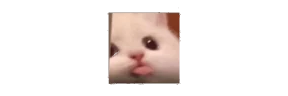 blassemble emote