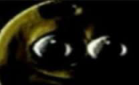 sexom emote