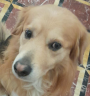 kiro emote