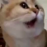 wat emote