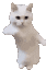 CatTime