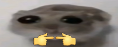 ohshy emote