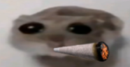 zazaoh emote