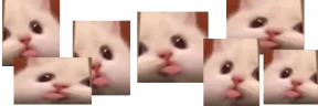 blatter emote