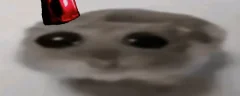 ohPolice emote