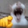 GAGAGA emote