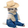catsittingverycomfortable emote