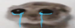 ohokay emote