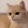 Emote