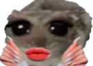 slay emote