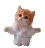maojin emote