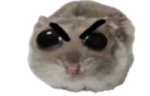 ohAngry emote