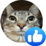 like emote