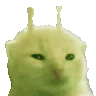 gaylorp emote