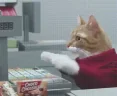 catCashier emote