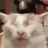 EmptyHead emote