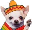 Hola emote