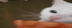 Tomato emote