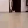 omgomgomgomgomg emote