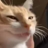 hehehe1 emote