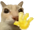 hii emote