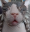 Emote
