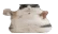 CatFat