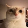 thoughtless emote