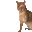 catSlap