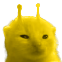 ylorp