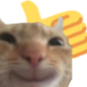 catthumbsup emote