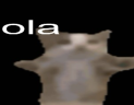 ola emote