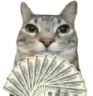 Motion emote