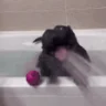 HydrateR emote