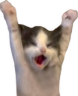 HELP emote