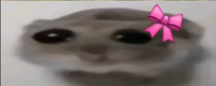 ohwo emote