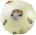 onion