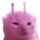 plorp