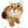 erm emote