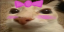 otagCute