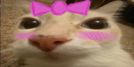 otagCute emote